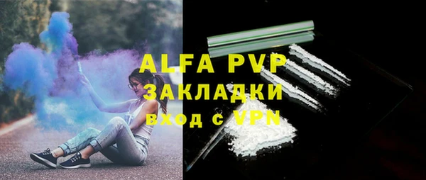 сатива Алзамай