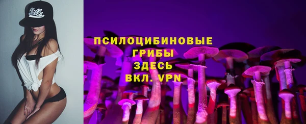 сатива Алзамай